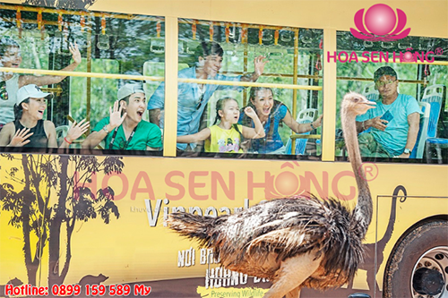 Khu vui chơi Phú Quốc