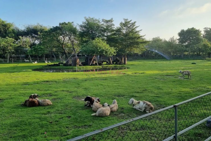 khu vui chơi Củ Chi Khu vui chơi Củ Chi